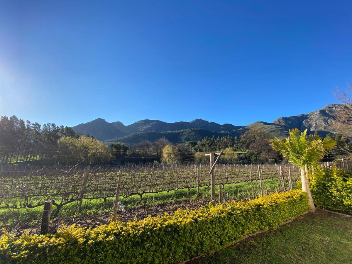 Olive And Vine Farm Cottage Franschhoek Exterior photo