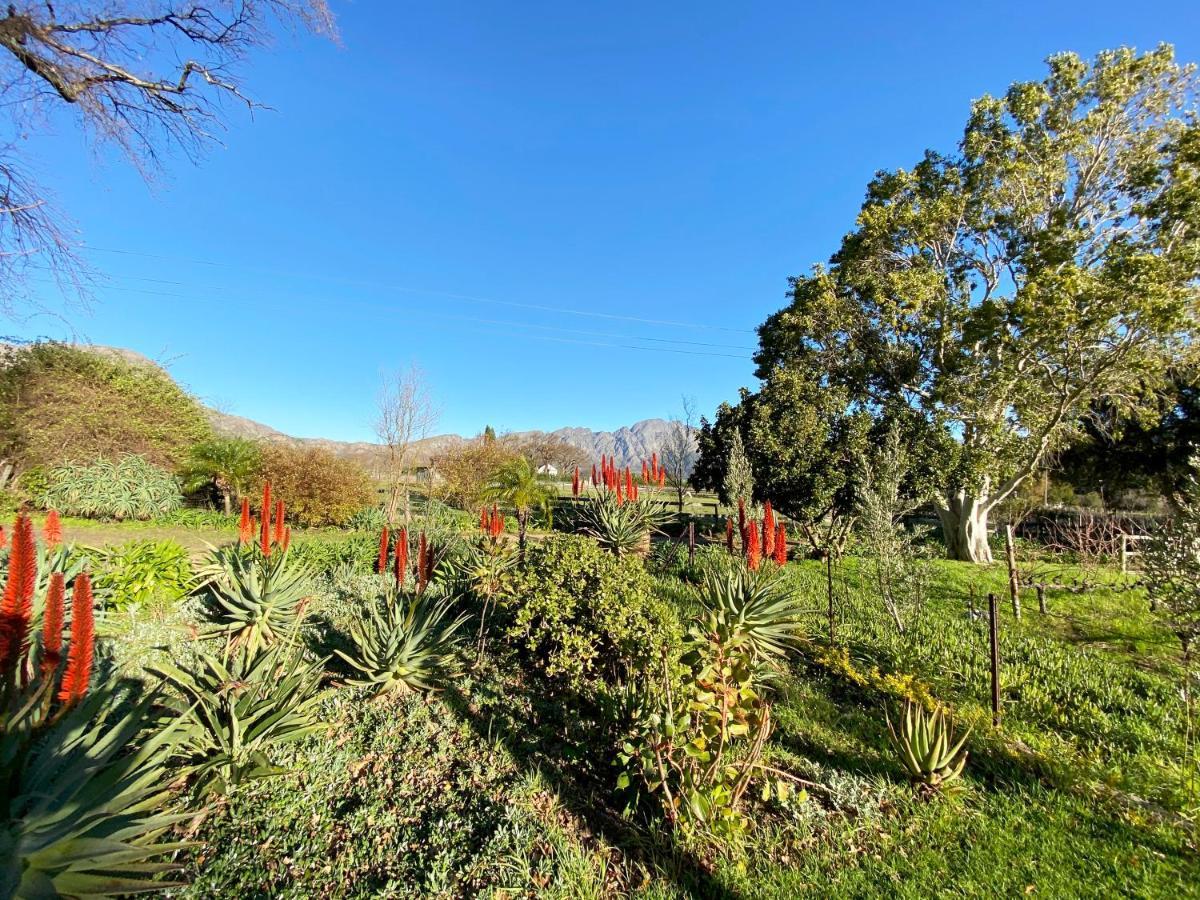 Olive And Vine Farm Cottage Franschhoek Exterior photo