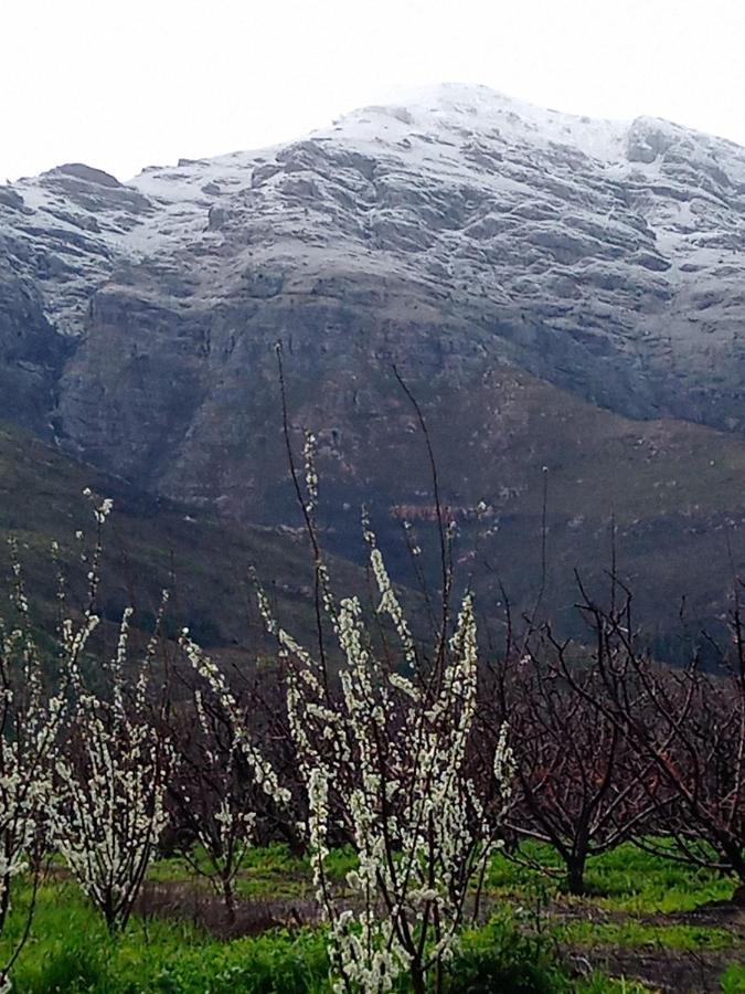 Olive And Vine Farm Cottage Franschhoek Exterior photo