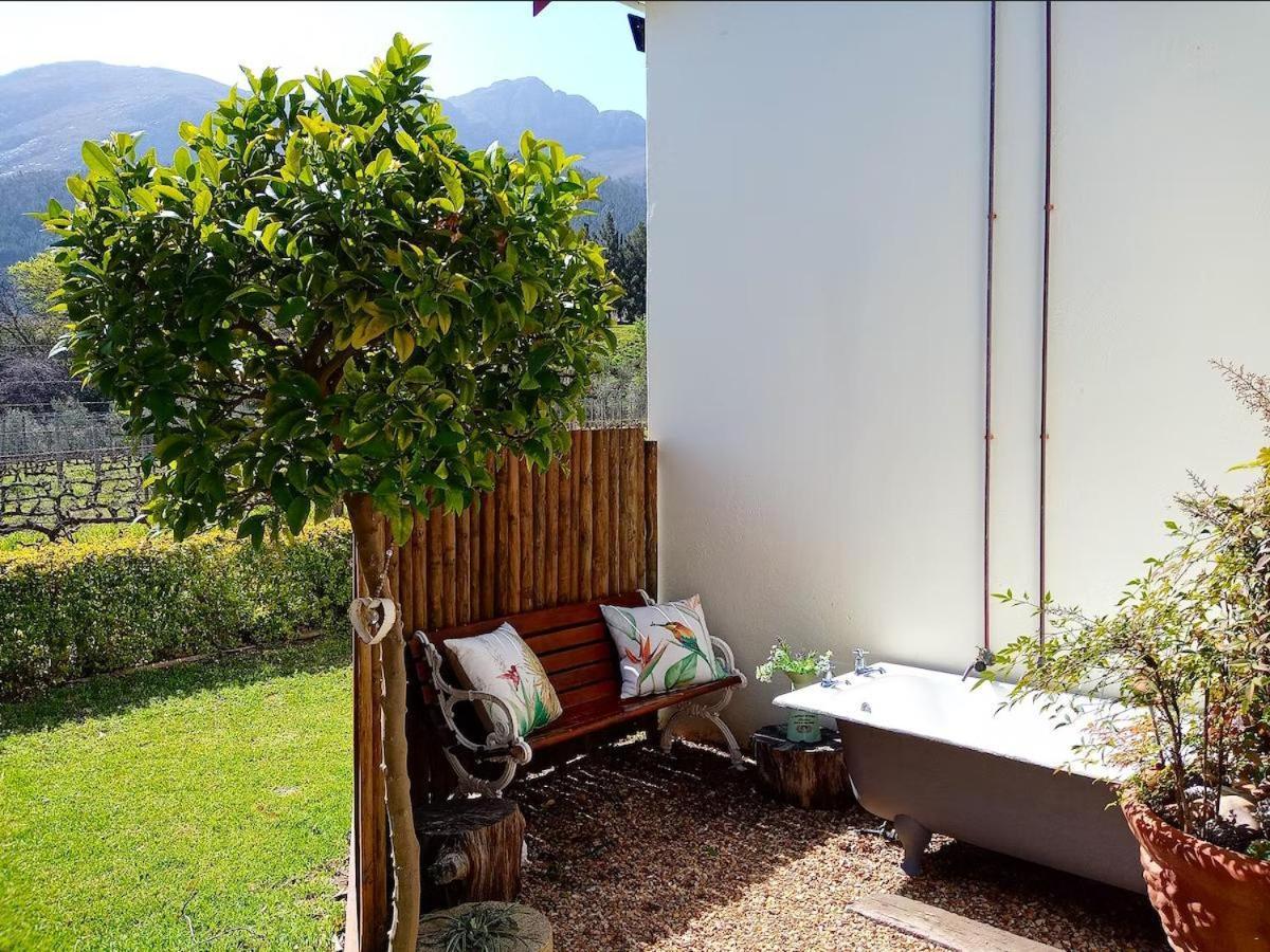 Olive And Vine Farm Cottage Franschhoek Room photo
