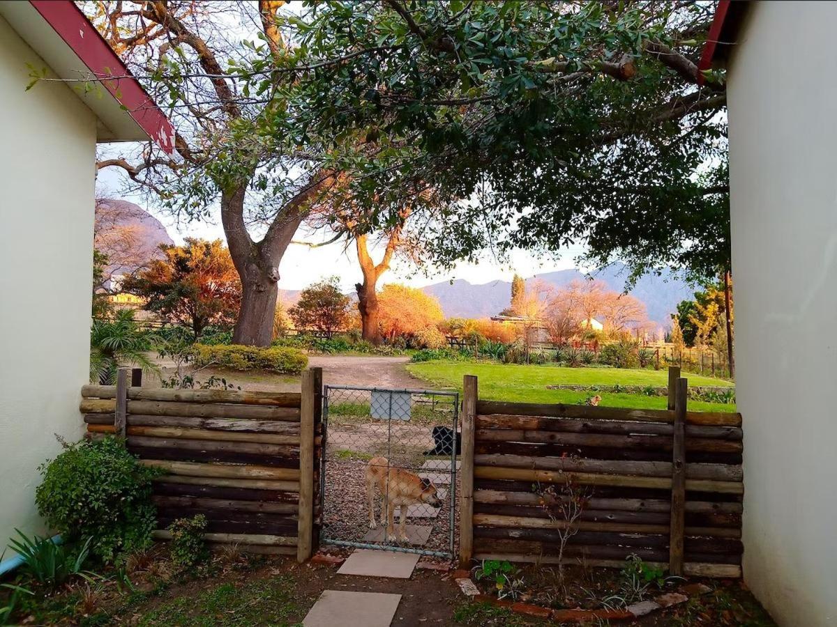 Olive And Vine Farm Cottage Franschhoek Room photo